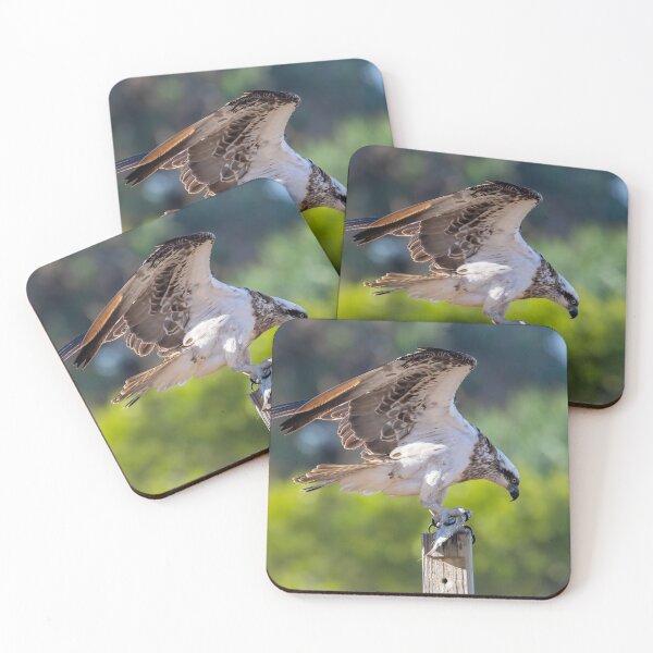 Item preview, Osprey Duvet Cover designed and sold by Adrian Alford Photography.
