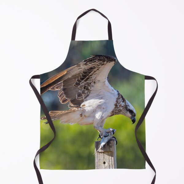 Item preview, Osprey Duvet Cover designed and sold by Adrian Alford Photography.