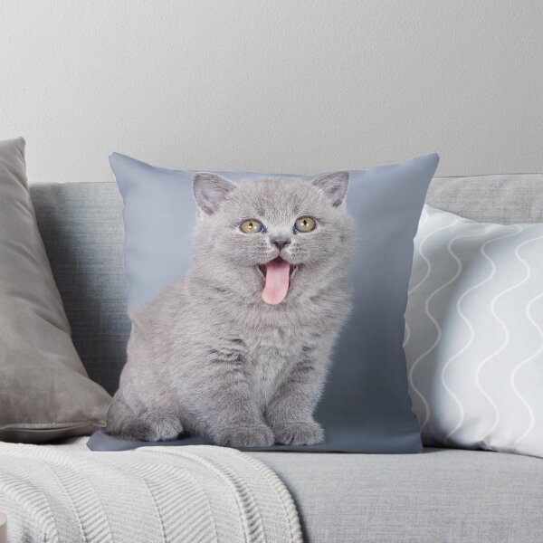 Item preview, Gray fluffy kitten meows designed and sold by utekhina.