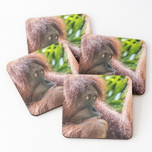 Item preview, Orang Utan 05 designed and sold by photograham.