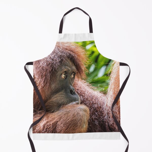 Item preview, Orang Utan 05 designed and sold by photograham.