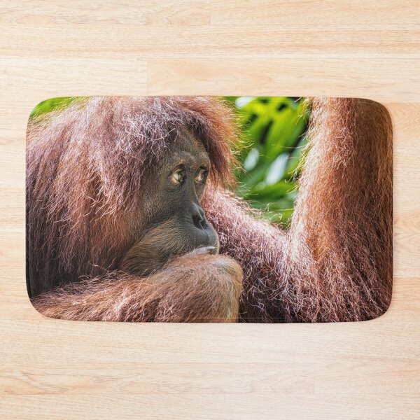 Item preview, Orang Utan 05 designed and sold by photograham.