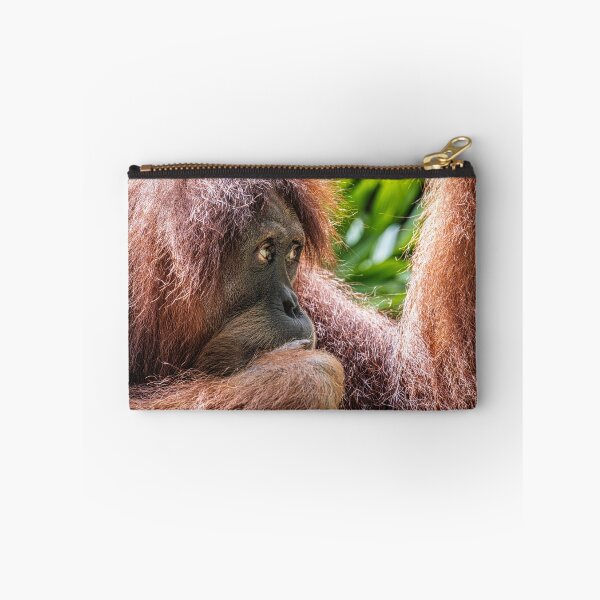 Item preview, Orang Utan 05 designed and sold by photograham.