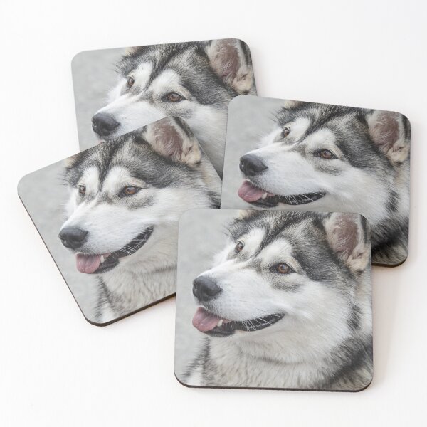 Item preview, Close-Up Portrait of an Alaskan Malamute Dog designed and sold by VanGaldo.