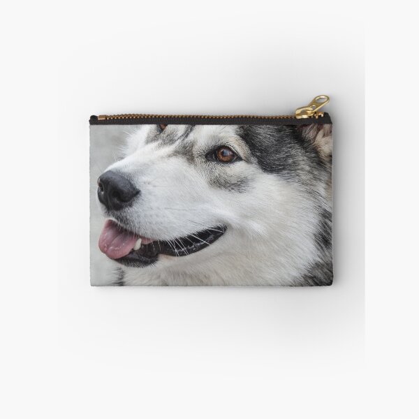 Item preview, Close-Up Portrait of an Alaskan Malamute Dog designed and sold by VanGaldo.