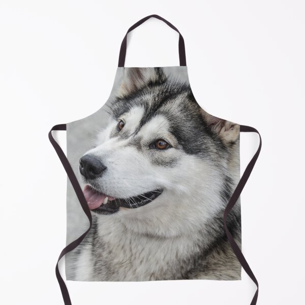 Item preview, Close-Up Portrait of an Alaskan Malamute Dog designed and sold by VanGaldo.