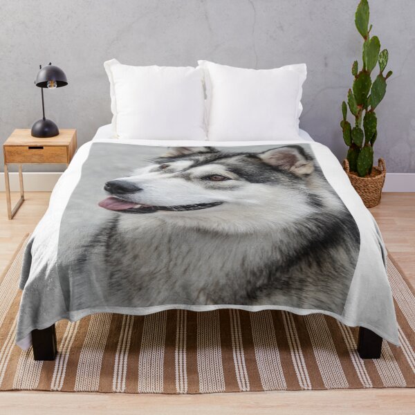 Item preview, Close-Up Portrait of an Alaskan Malamute Dog designed and sold by VanGaldo.