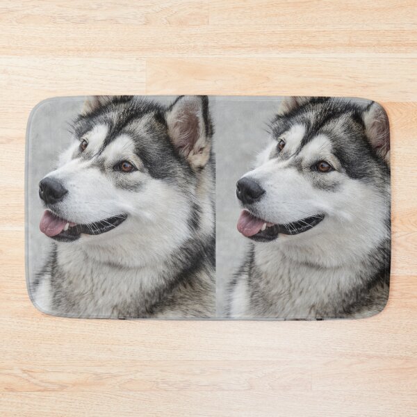 Item preview, Close-Up Portrait of an Alaskan Malamute Dog designed and sold by VanGaldo.