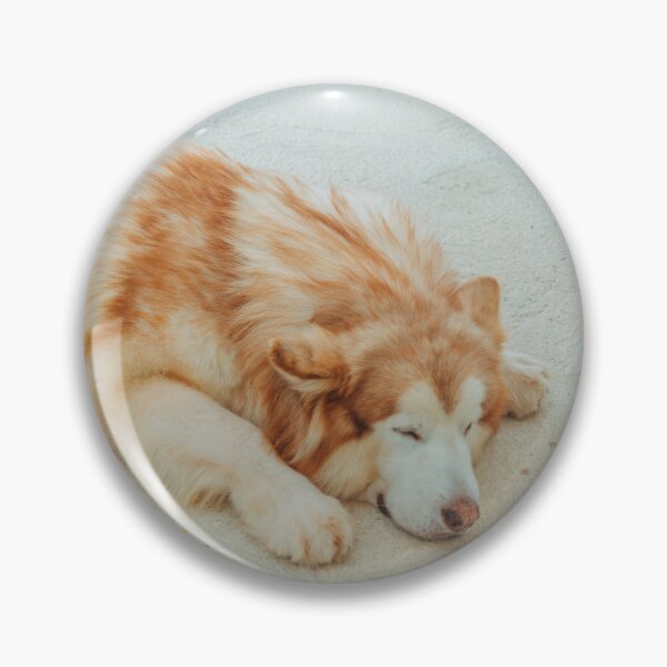 Item preview, Portrait of a Sleeping Red Alaskan Malamute designed and sold by VanGaldo.