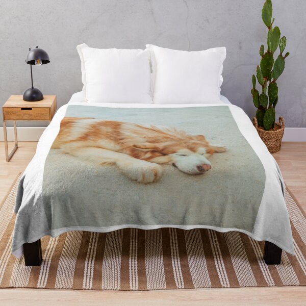 Item preview, Portrait of a Sleeping Red Alaskan Malamute designed and sold by VanGaldo.