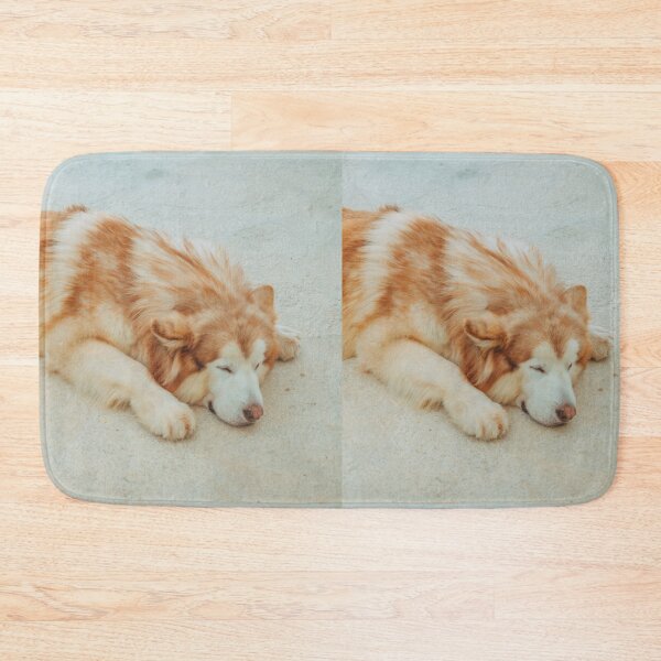 Item preview, Portrait of a Sleeping Red Alaskan Malamute designed and sold by VanGaldo.