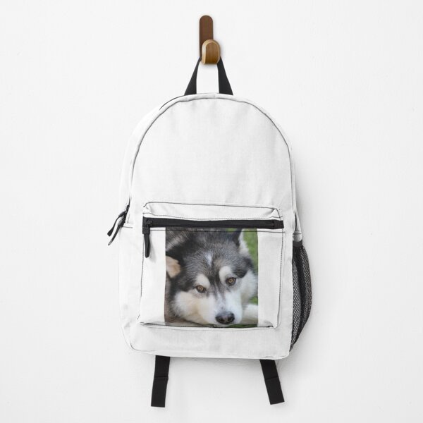 Item preview, Chillax Close-Up Portrait of an Alaskan Malamute Dog designed and sold by VanGaldo.