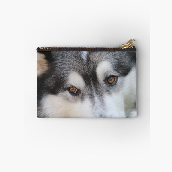 Item preview, Chillax Close-Up Portrait of an Alaskan Malamute Dog designed and sold by VanGaldo.