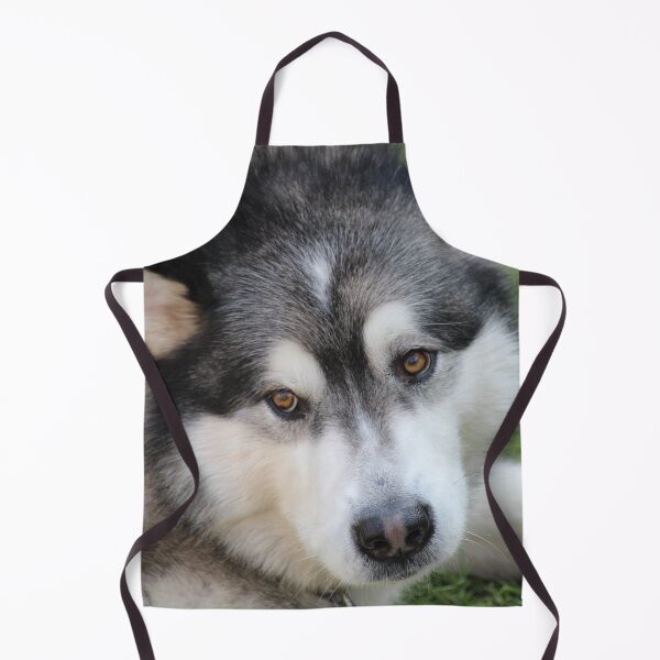 Item preview, Chillax Close-Up Portrait of an Alaskan Malamute Dog designed and sold by VanGaldo.