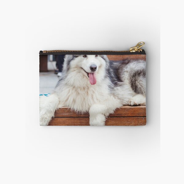 Item preview, Alaskan Malamute Lying on a Wooden Bench Outdoors designed and sold by VanGaldo.