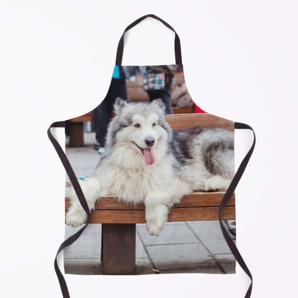 Item preview, Alaskan Malamute Lying on a Wooden Bench Outdoors designed and sold by VanGaldo.