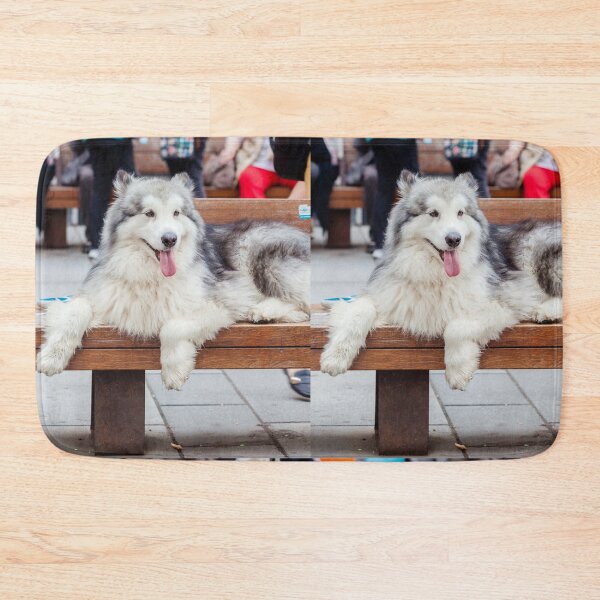 Item preview, Alaskan Malamute Lying on a Wooden Bench Outdoors designed and sold by VanGaldo.