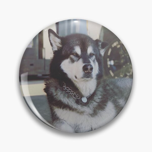 Item preview, Alaskan Malamute Dog Lying Down designed and sold by VanGaldo.