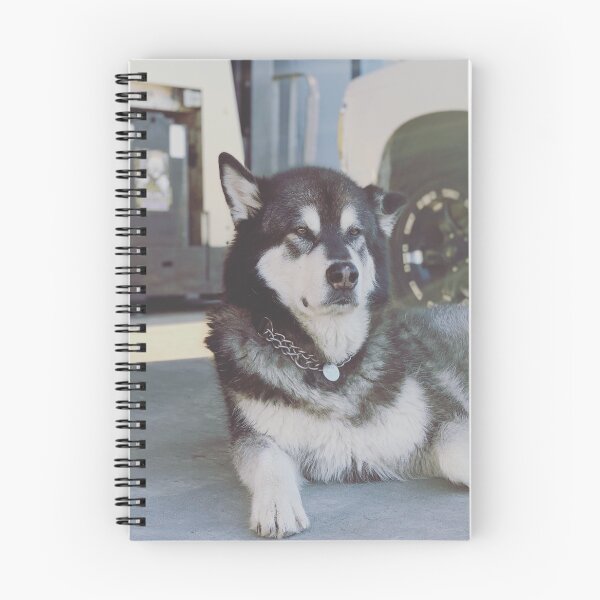 Item preview, Alaskan Malamute Dog Lying Down designed and sold by VanGaldo.