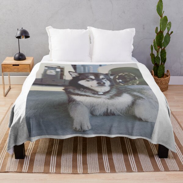 Item preview, Alaskan Malamute Dog Lying Down designed and sold by VanGaldo.
