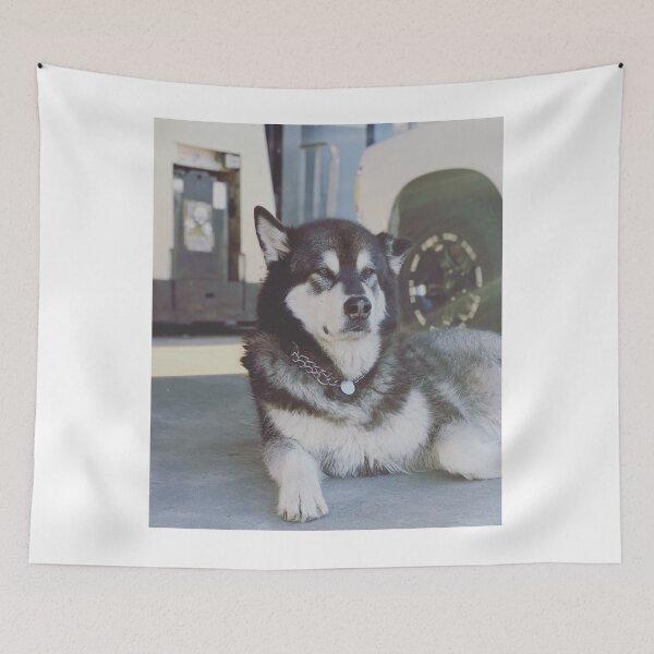 Item preview, Alaskan Malamute Dog Lying Down designed and sold by VanGaldo.