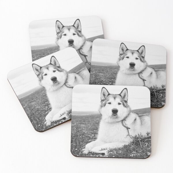 Item preview, Black and White Portrait of an Alaskan Malamute designed and sold by VanGaldo.