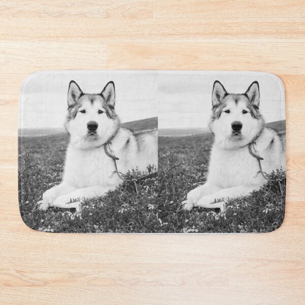Item preview, Black and White Portrait of an Alaskan Malamute designed and sold by VanGaldo.