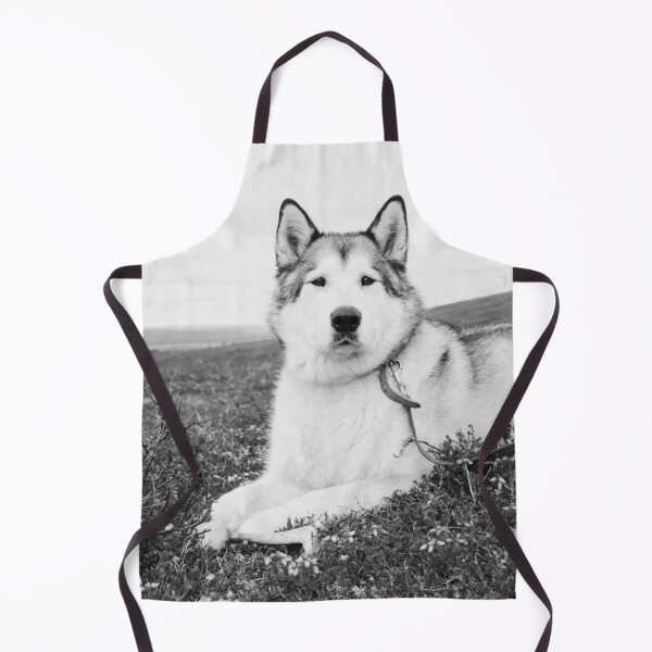 Item preview, Black and White Portrait of an Alaskan Malamute designed and sold by VanGaldo.
