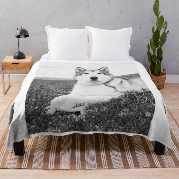 Item preview, Black and White Portrait of an Alaskan Malamute designed and sold by VanGaldo.