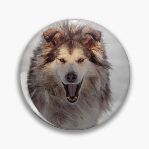 Item preview,  Alaskan Malamute Dog Barking in the Snow designed and sold by VanGaldo.