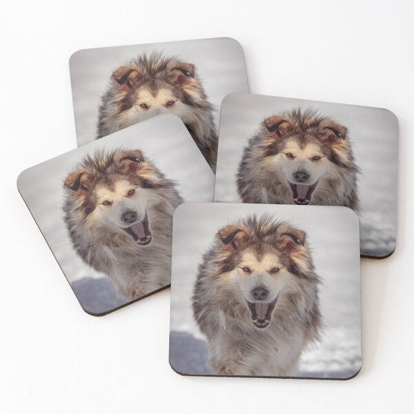 Item preview,  Alaskan Malamute Dog Barking in the Snow designed and sold by VanGaldo.