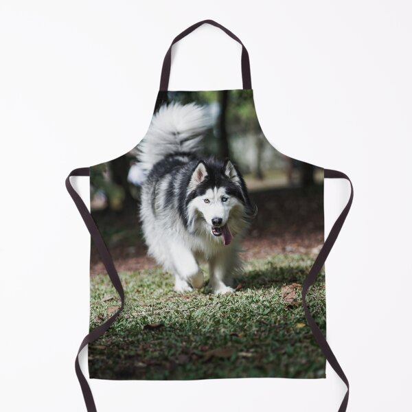 Item preview, Long-Haired Alaskan Malamute Dog with Heterochromia designed and sold by VanGaldo.