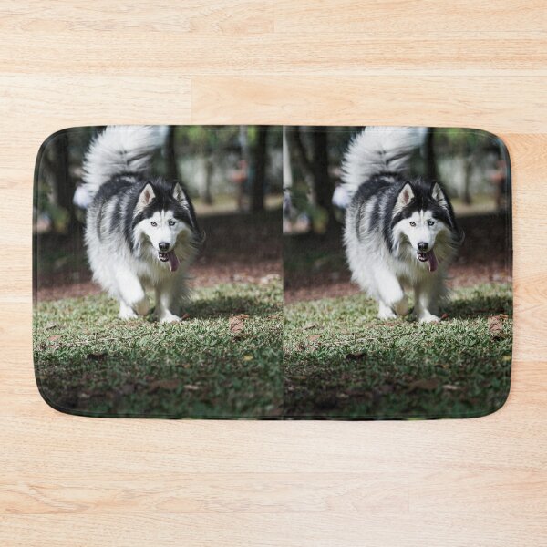 Item preview, Long-Haired Alaskan Malamute Dog with Heterochromia designed and sold by VanGaldo.