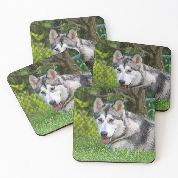 Item preview, Alaskan Malamute Dog Lying in Deep Green Grass designed and sold by VanGaldo.
