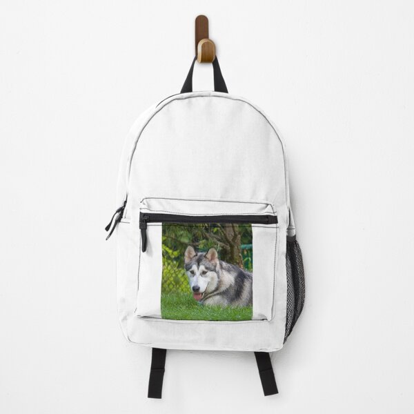 Item preview, Alaskan Malamute Dog Lying in Deep Green Grass designed and sold by VanGaldo.
