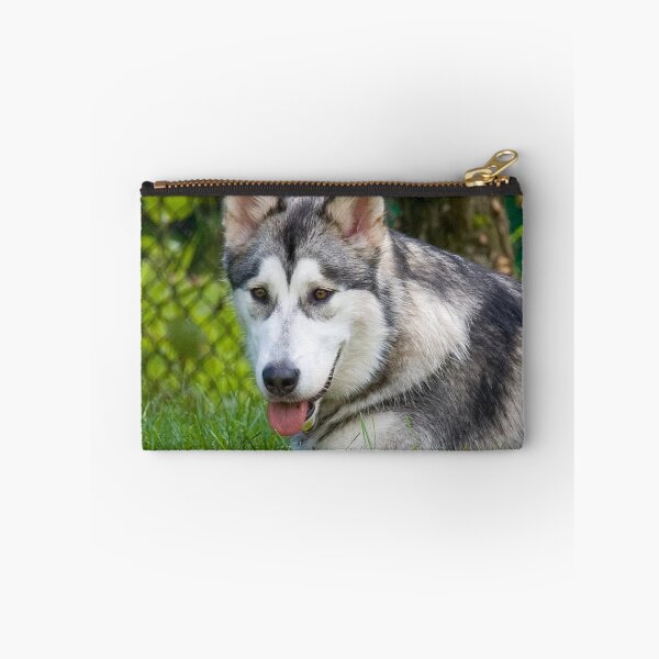 Item preview, Alaskan Malamute Dog Lying in Deep Green Grass designed and sold by VanGaldo.