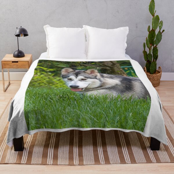 Item preview, Alaskan Malamute Dog Lying in Deep Green Grass designed and sold by VanGaldo.
