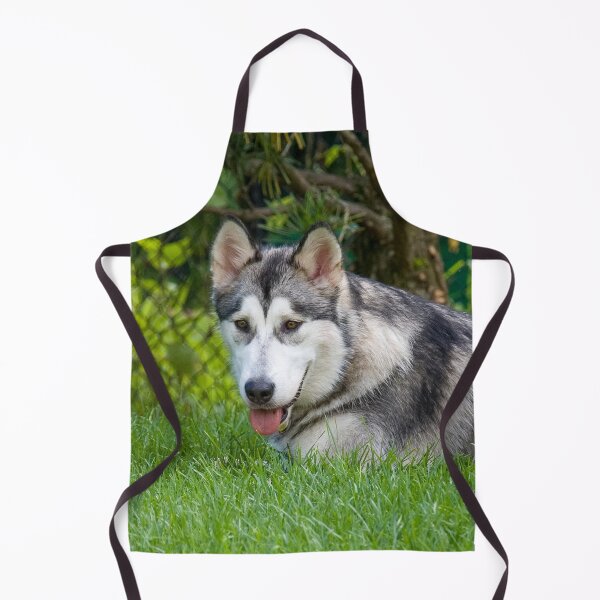 Item preview, Alaskan Malamute Dog Lying in Deep Green Grass designed and sold by VanGaldo.