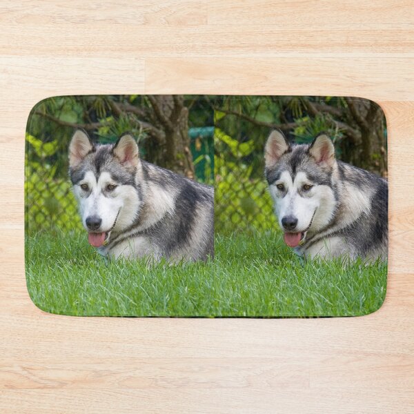 Item preview, Alaskan Malamute Dog Lying in Deep Green Grass designed and sold by VanGaldo.