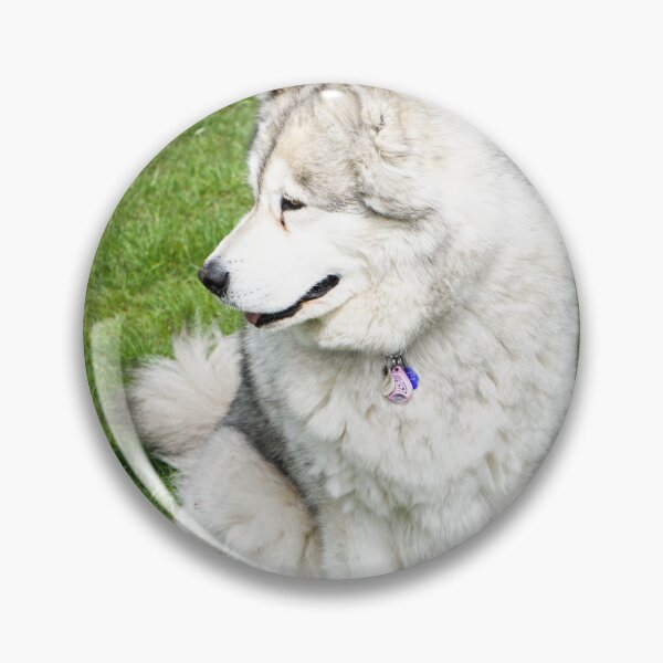 Item preview, Side-Profile Portrait of a Fluffy Alaskan Malamute Dog designed and sold by VanGaldo.