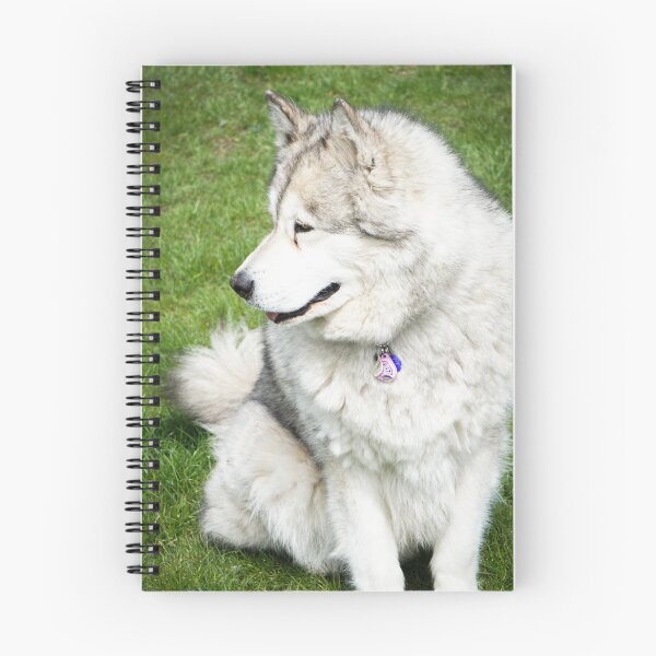 Item preview, Side-Profile Portrait of a Fluffy Alaskan Malamute Dog designed and sold by VanGaldo.
