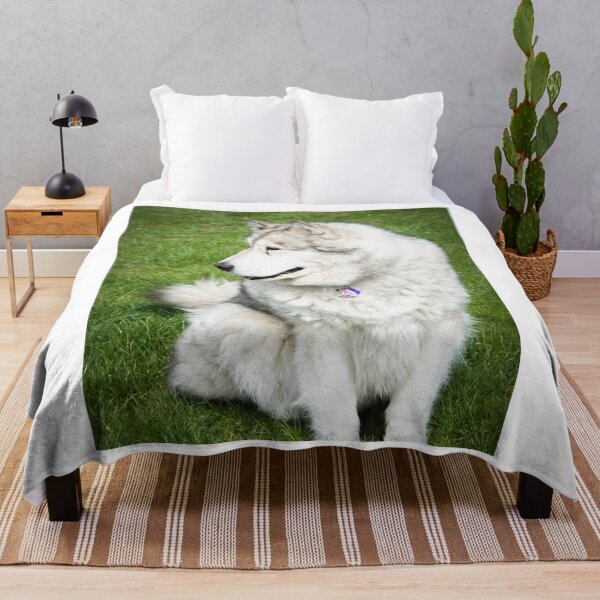 Item preview, Side-Profile Portrait of a Fluffy Alaskan Malamute Dog designed and sold by VanGaldo.