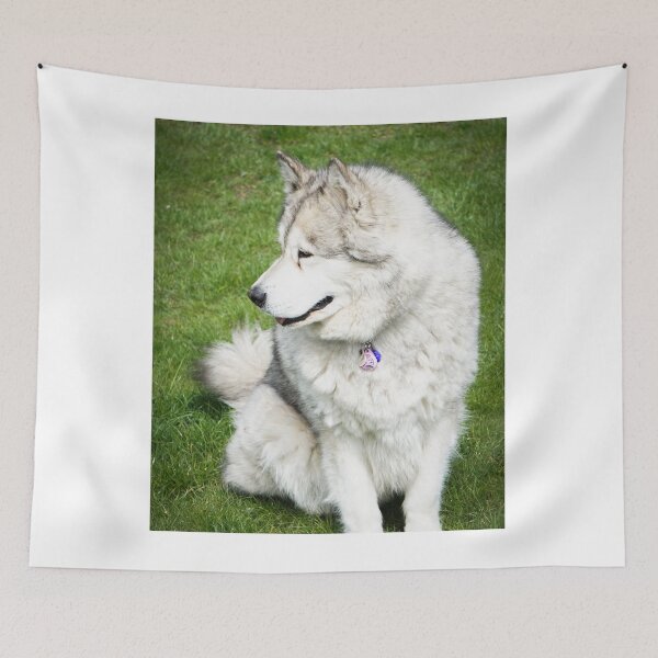 Item preview, Side-Profile Portrait of a Fluffy Alaskan Malamute Dog designed and sold by VanGaldo.
