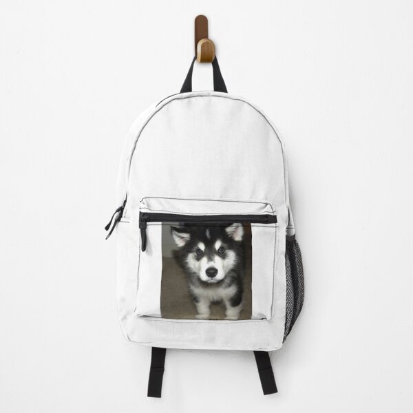 Item preview, Close-Up Portrait of an Alaskan Malamute Puppy designed and sold by VanGaldo.