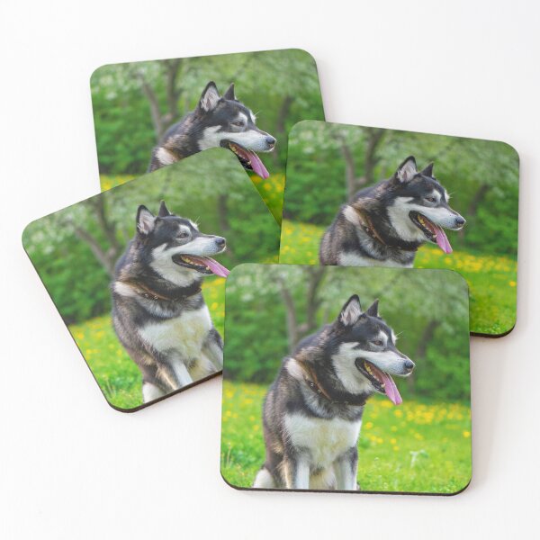 Item preview, Agouti Alaskan Malamute Dog Sitting in a Field designed and sold by VanGaldo.