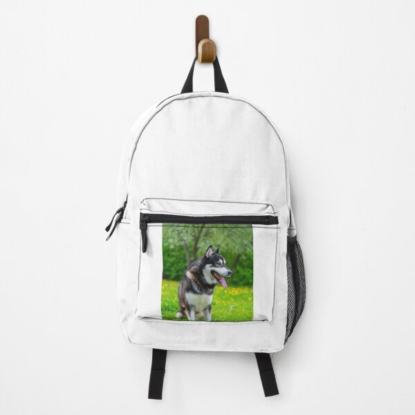 Item preview, Agouti Alaskan Malamute Dog Sitting in a Field designed and sold by VanGaldo.