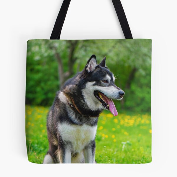 Item preview, Agouti Alaskan Malamute Dog Sitting in a Field designed and sold by VanGaldo.