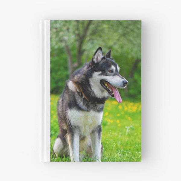 Item preview, Agouti Alaskan Malamute Dog Sitting in a Field designed and sold by VanGaldo.