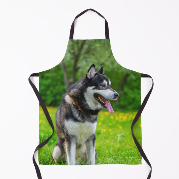 Item preview, Agouti Alaskan Malamute Dog Sitting in a Field designed and sold by VanGaldo.