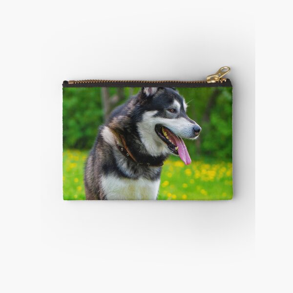 Item preview, Agouti Alaskan Malamute Dog Sitting in a Field designed and sold by VanGaldo.